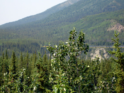 a train travels along the beautiful mountain's edge