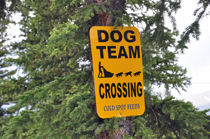 sign - dog team crossing