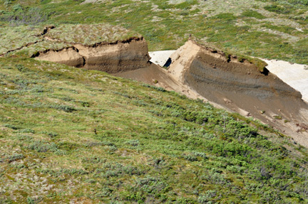 a recent landslide in the park