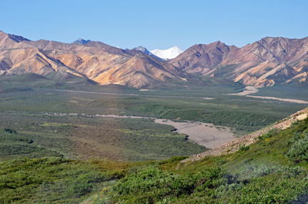 a peek at the peak of Mt. McKinley