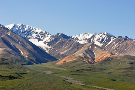 Beautiful mountains throughout Denali National Park