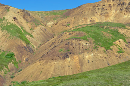 Beautiful mountains throughout Denali National Park