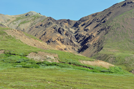 Beautiful mountains throughout Denali National Park