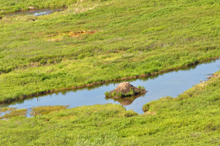 pond and island