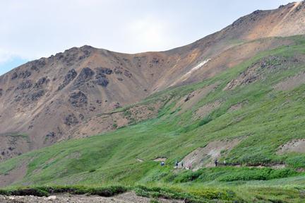 Beautiful mountains throughout Denali National Park