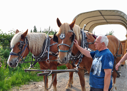 Lee says hello to the horses