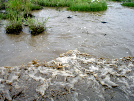 water splashing out of the mud puddle