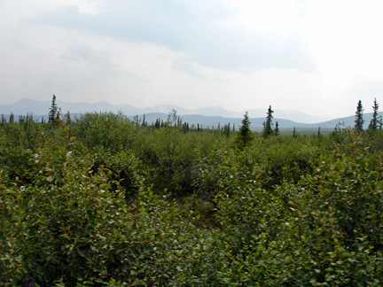 beautiful scenery at the end of the trail 