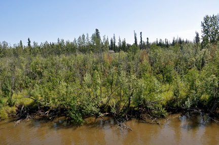 the river and bank