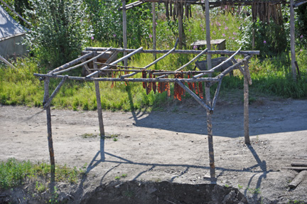 salmon drying