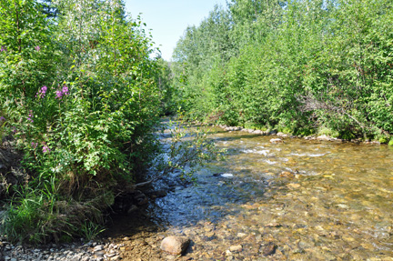 river behind the two RV Gypsies' RV