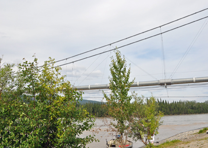 pipeline and Tanana River