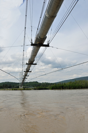 pipeline and Tanana River