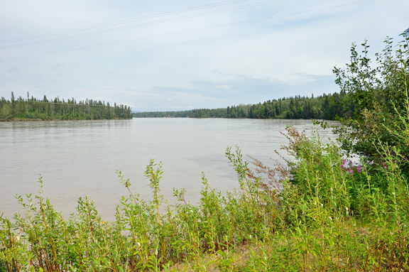 The Tanana River