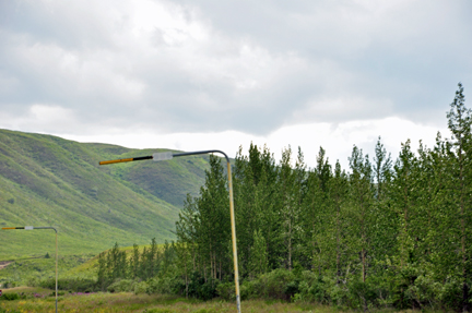 snow poles