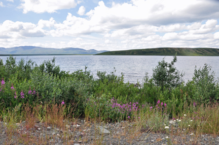 Summit Lake & fireweed