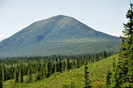 Donnelly Dome