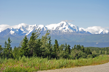 mountain, trees, road