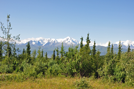 various mountains in the Alaska Range