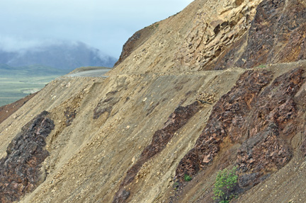 Roads in Denali National Park