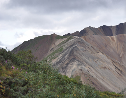 mountain in Denali National Park