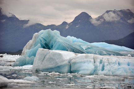 icebergs at the Columbia Glacier