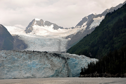 the Meares Glacier 