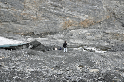 Lee says come on down