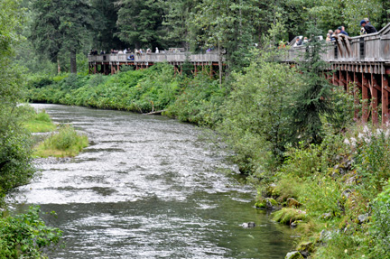 the famous viewing bridge