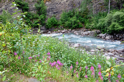 Little Susitna River