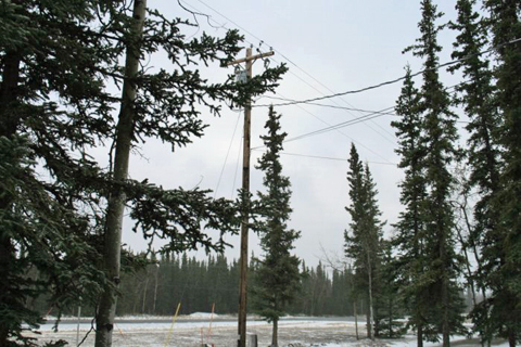 snow in Tok, Alaksa