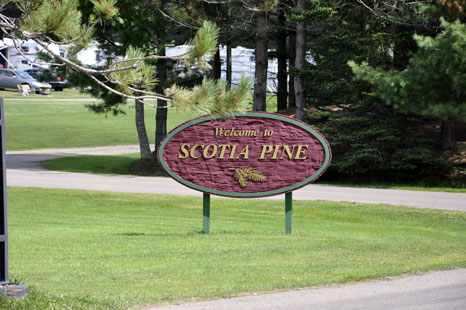 sign - welcome to scotia Pine Campground