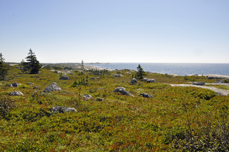 the site of the Swissair Flight III Memorial