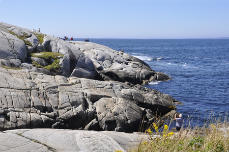 Lee Duquette checks out the waves in the Atlantic Ocean