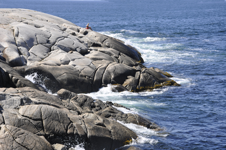 waves in the Atlantic Ocean