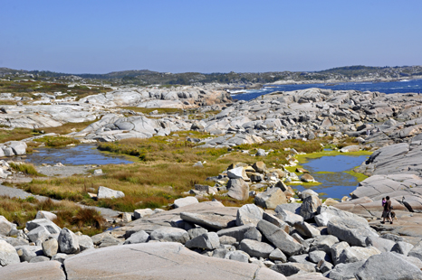 an especially colorful at Peggy's Cove