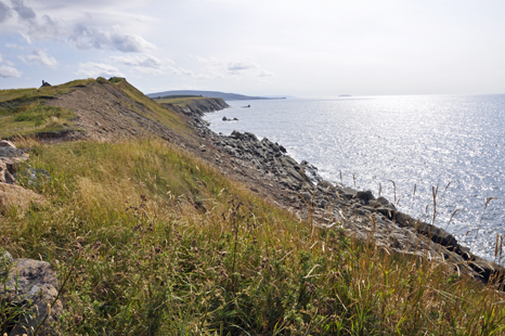 cliffs at Margaree