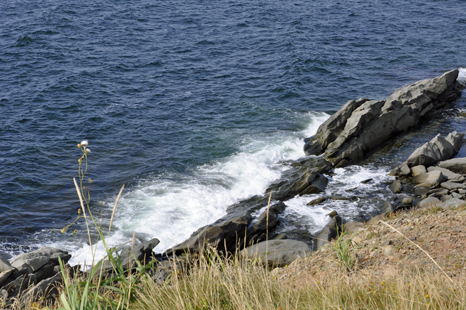 cliffs at Margaree