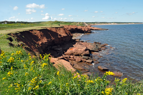 the red cliffs at PEI National Park