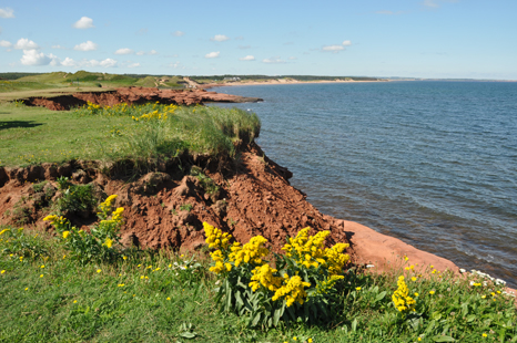 the red cliffs at PEI National Park