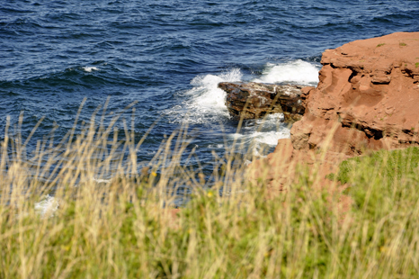 surf on the rocks