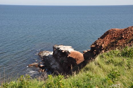 Orby Head