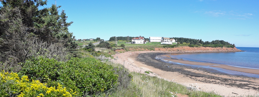 Doyles Cove