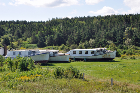 old boats at Doyles Cove