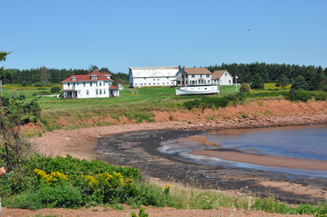 Doyles Cove