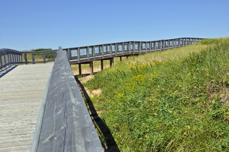 the boardwalk at Brackley Beach