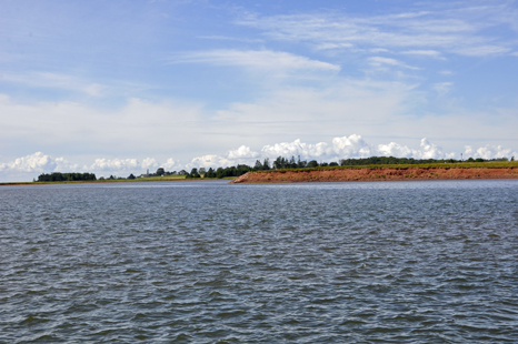 View from the wharf