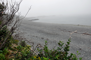 Raccoon Beach