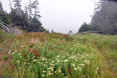 Karen Duquette in a field of flowers