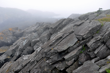 a rocky cliff on Campobello Island